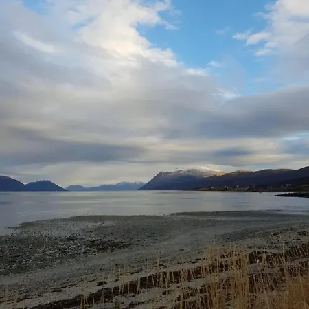 Cozy By The Sea * Tromsø