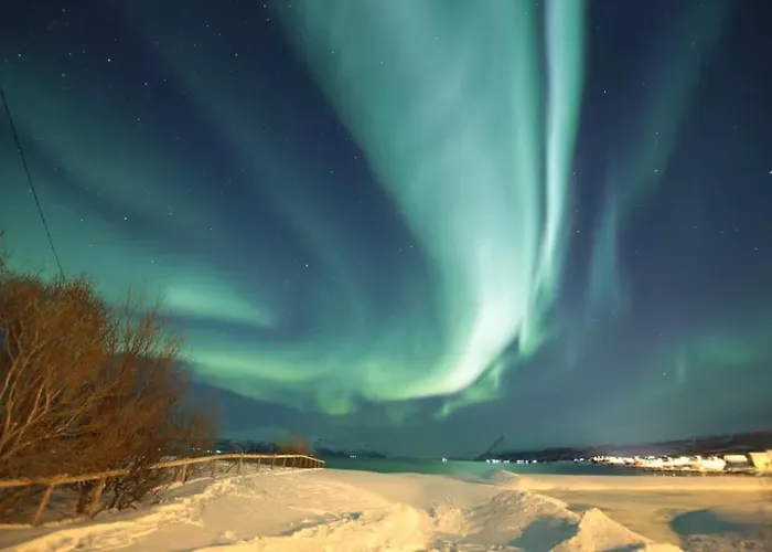 Cozy By The Sea Dom wakacyjny Tromsø